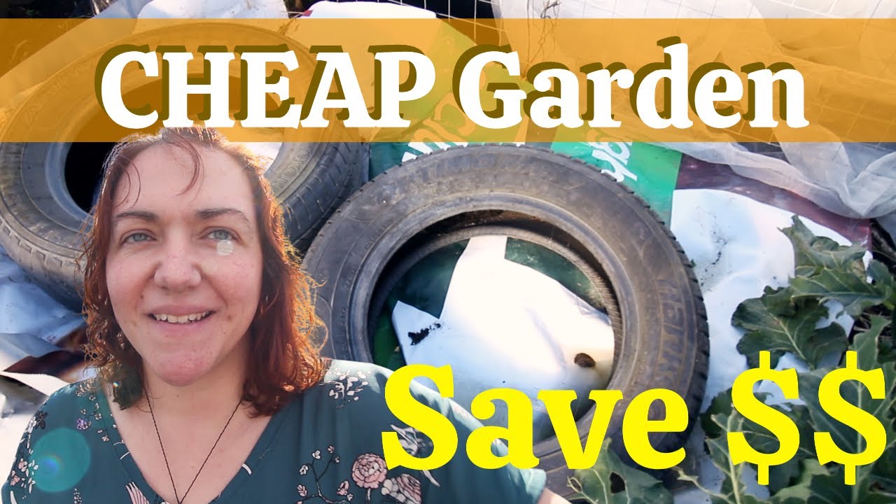 How to garden for free - Top tips for a frugal garden