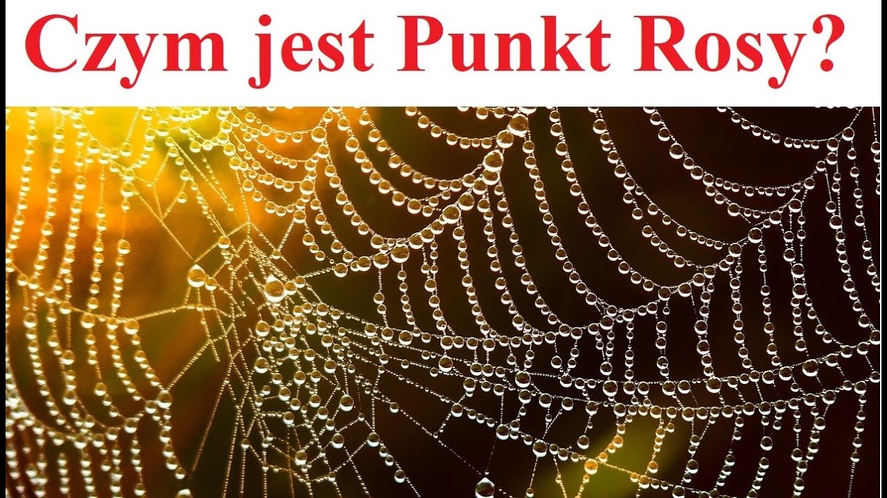 Czym jest Punkt Rosy