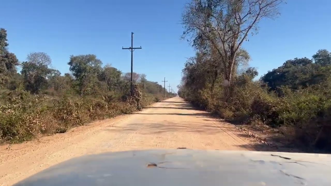 Pantanal 