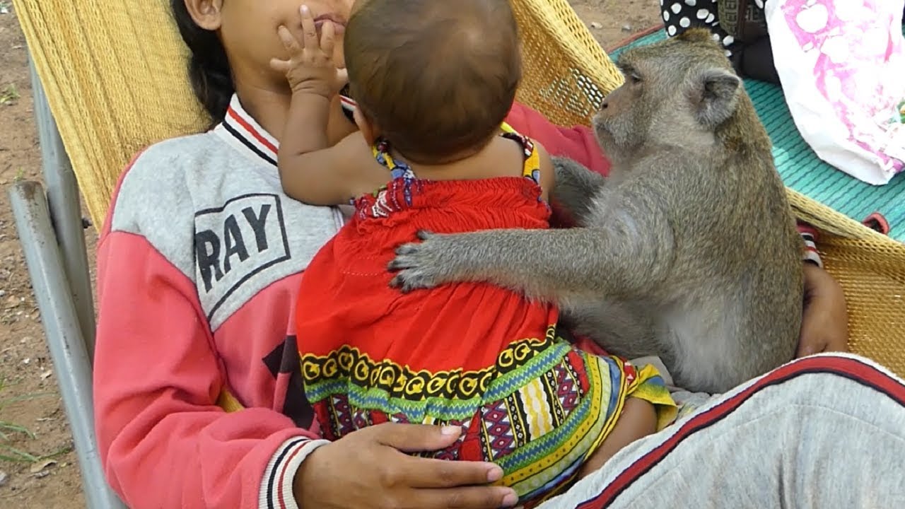 Monkey Sok Has Good Relationship With Family Sreyleap | Sok Will Be Member Of Sreyleap's Family