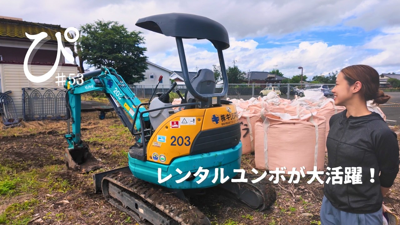 裏庭を整地して芝生を敷きたい！ユンボで伐根と整地