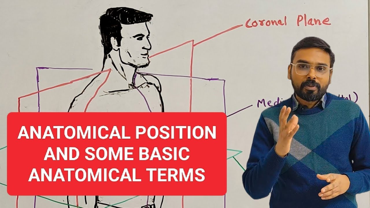 Anatomical position and basic anatomical terms easy explanation in hindi 