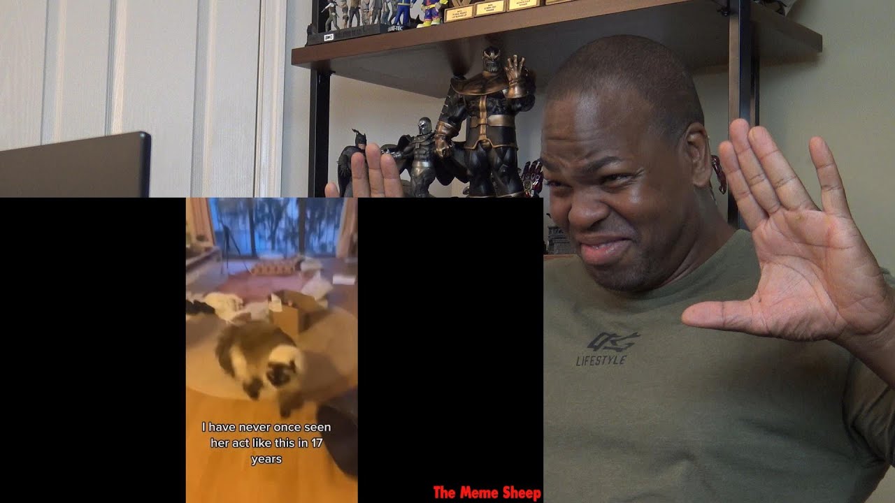 Try Not To Laugh Challenge - Memes but... hold up 😳 - Reaction!