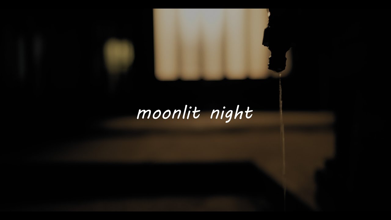 Moonlit night Lumix S5m2X SIGMA 24mm F1.4 DG DN Art   2023 /09 /2