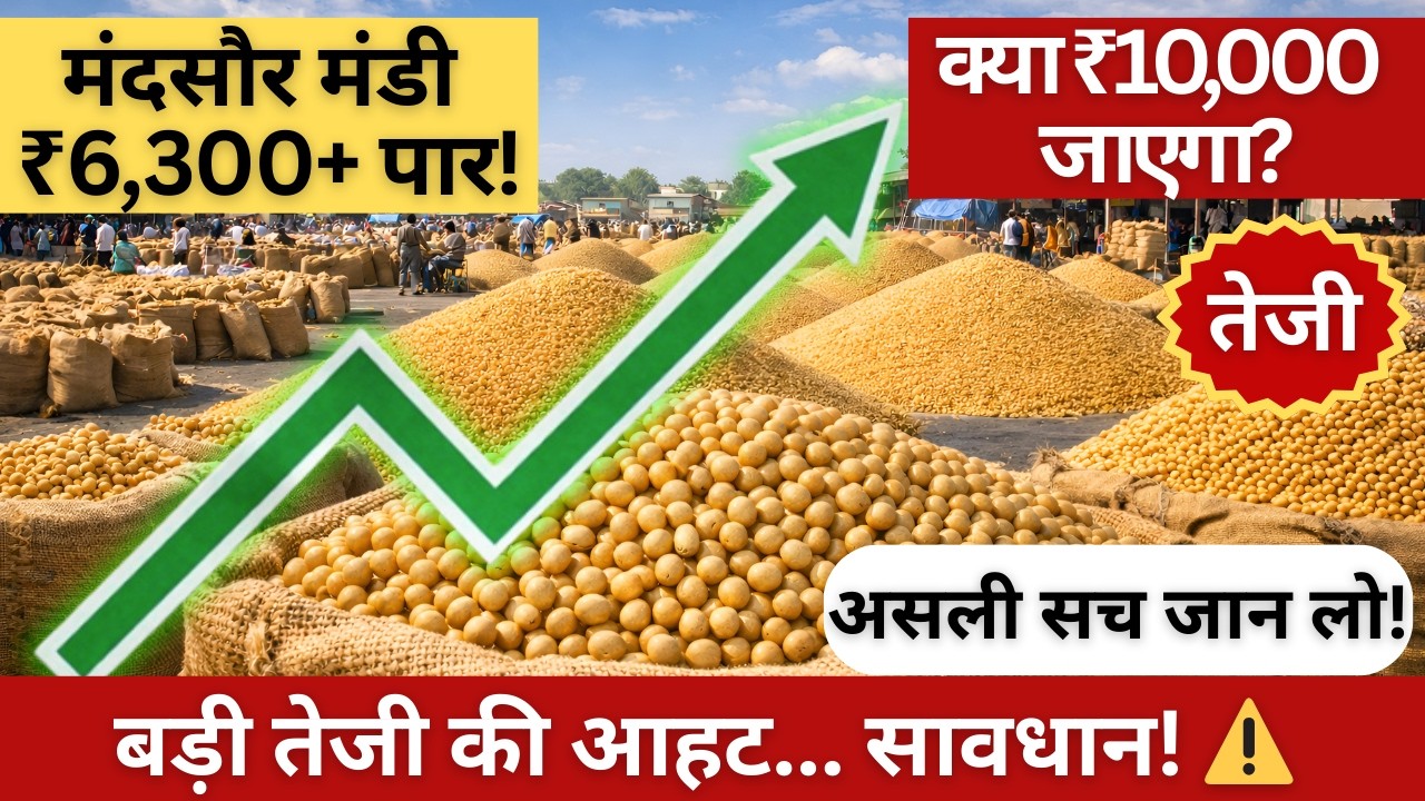 सोयाबीन तेजी-मंदी रिपोर्ट : मंदसौर मंडी में सोयाबीन ₹6300 पार🚀| क्या सोयाबीन ₹10000 पार जाएगा?🔥|