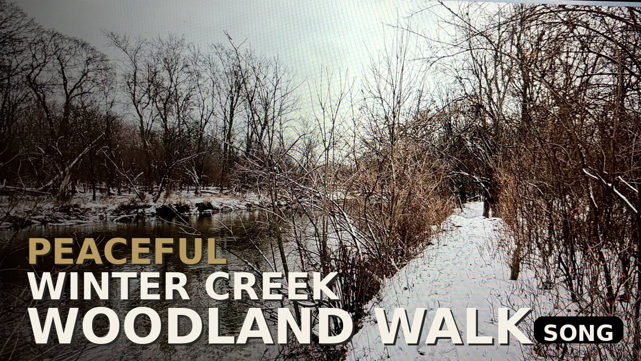 Peaceful Winter Creek and Woodland Walk with Calm Jazz