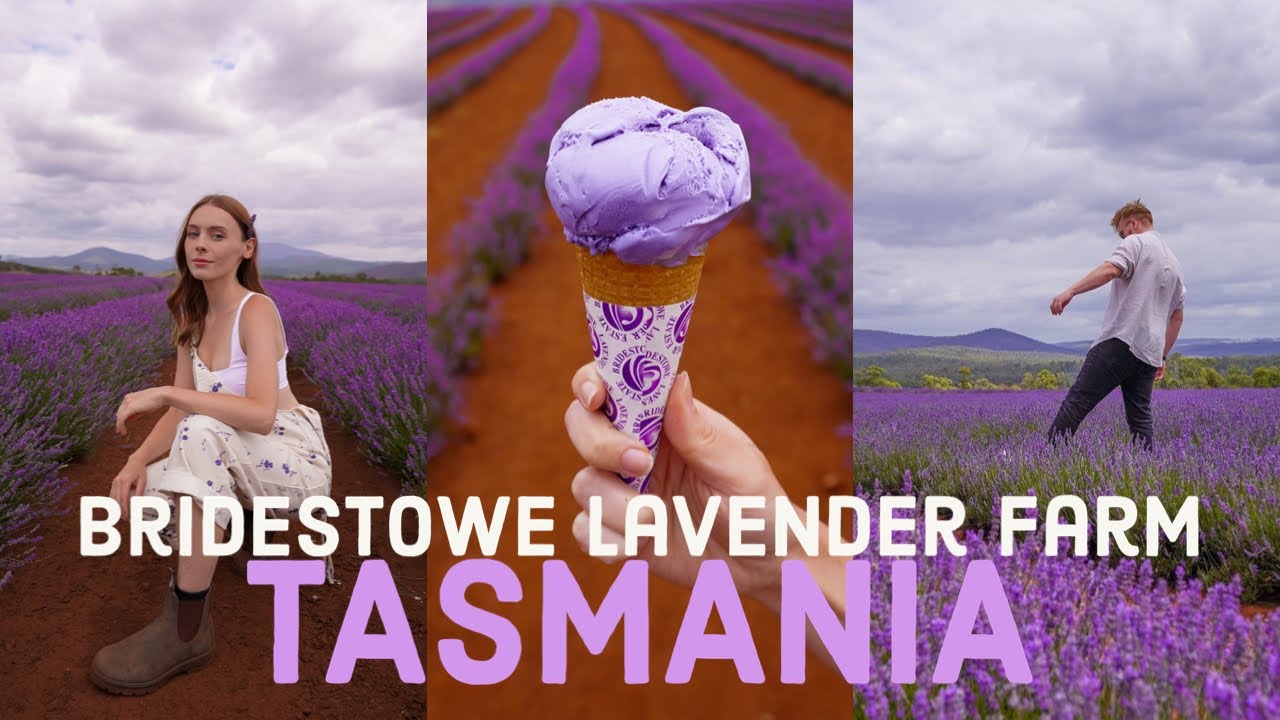WE TRIED LAVENDER ICE CREAM (Bridestowe Travel Vlog)