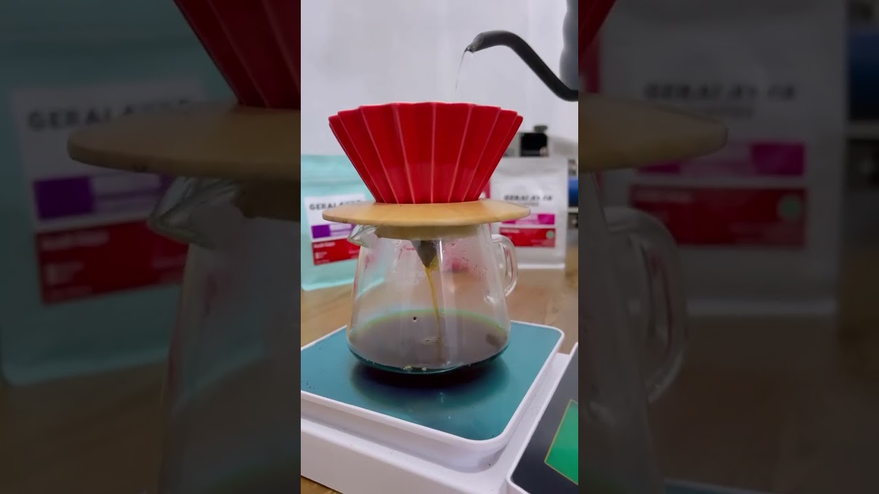 Arabika Gayo Natural Seduh V60