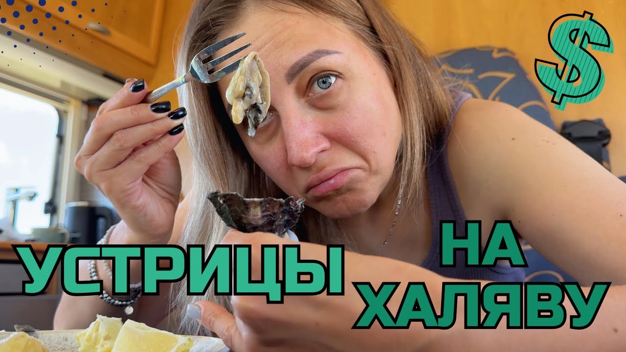 Погоня за дикими устрицами на Автодоме в Португалии!  Район Албуфейра!
