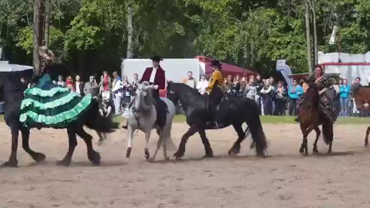 Traventhal 2015 - Doma Clasica
