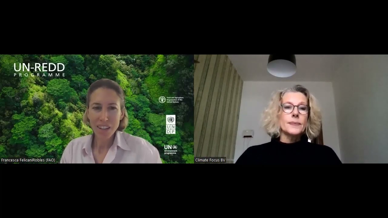 Carbon rights in the context of jurisdictional REDD+: Charlotte Streck's expert insight