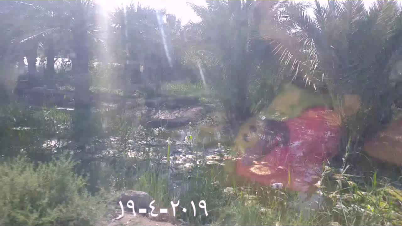 رحله الى منتجع النخيل السياحي في البصره الهارثه