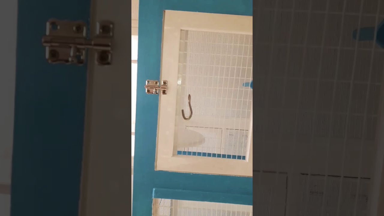 Dernier épisode de la fabrication du cages  الجزء الأخير من صنع القفص الكبير الرجاء الاشتراك