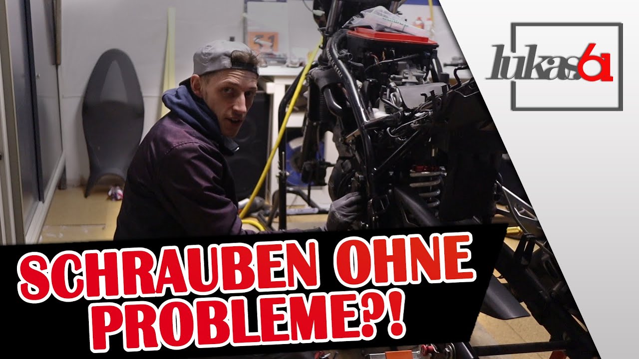 Suzuki Gladius 650 IDM Twin Cup - Schrauben ohne Probleme?! - Lukas.61