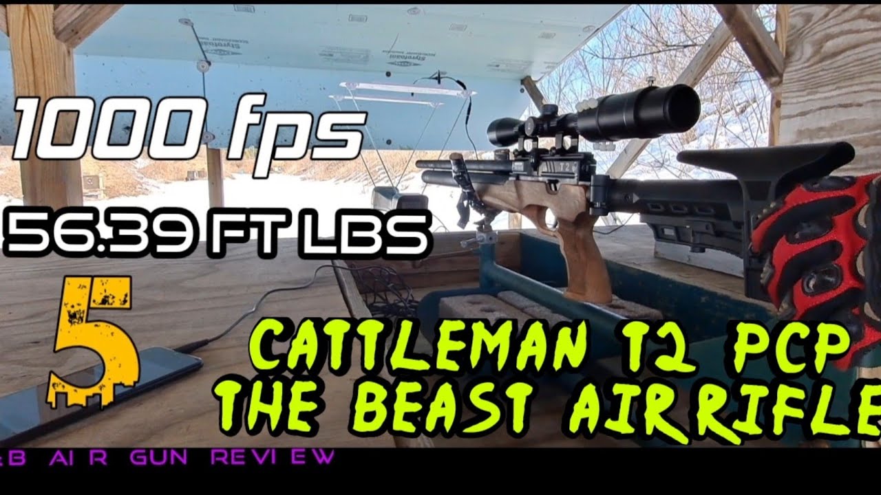 CATTLEMAN  T2  PCP AIR RIFLE  fps  ft/lbs  &  Accuracy. REAL WORLD VERDICT IS IN!