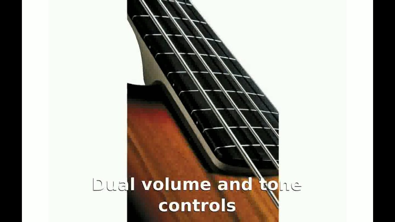 Rogue LX200BF Fretless Series III Electric Bass Guitar