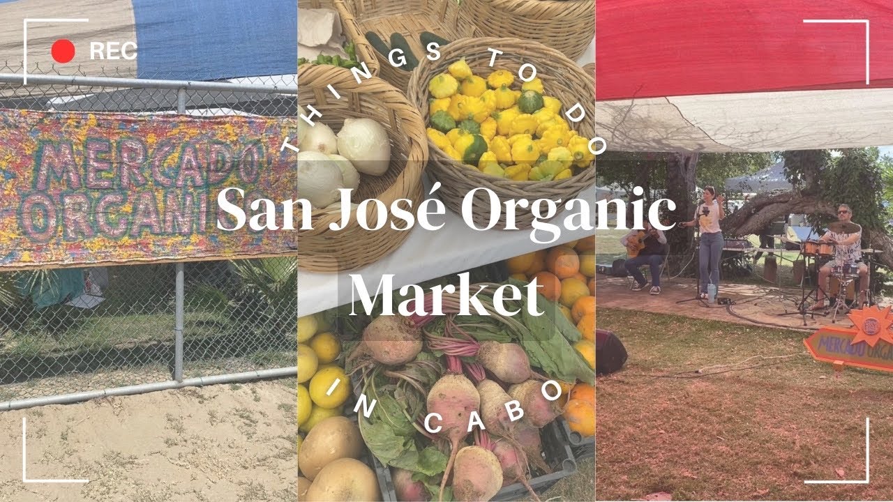 Things to Do in Cabo: Saturday Organic Market in San Jos&eacute; (Biggest Market in Cabo)