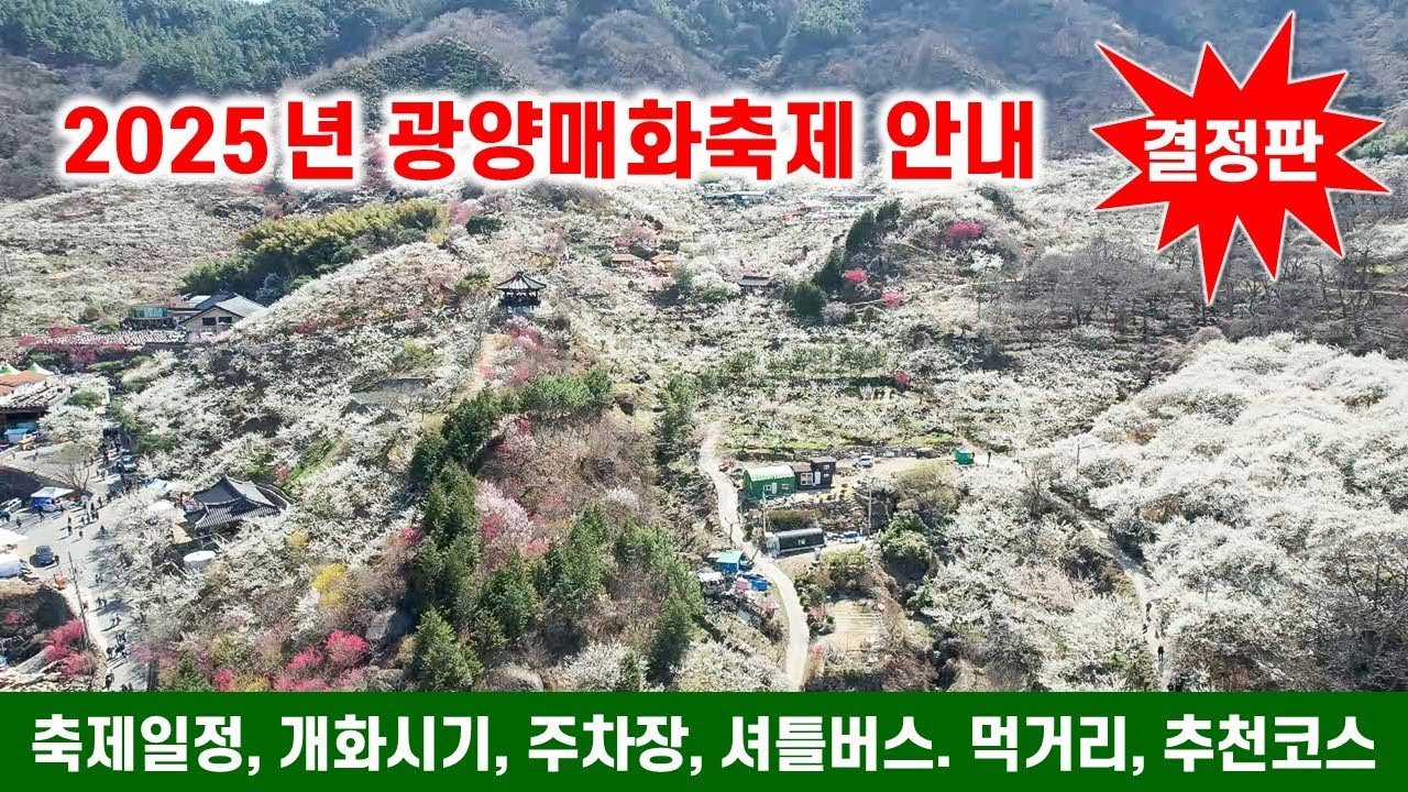2025년 광양매화축제 안내 결정판 - 축제시기, 주차장, 셔틀버스, 먹거리, 볼거리, 개화절정기 - 자세하게 안내