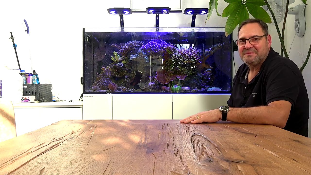 Showtank Teil 48: Die neuen Maxspect Jump L165 LEDs für 249 €
