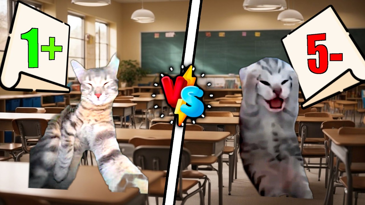 Vorstellung VS Realität😂😱