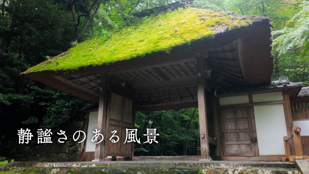 静謐さのある風景 | A Serene Landscape in Kyoto