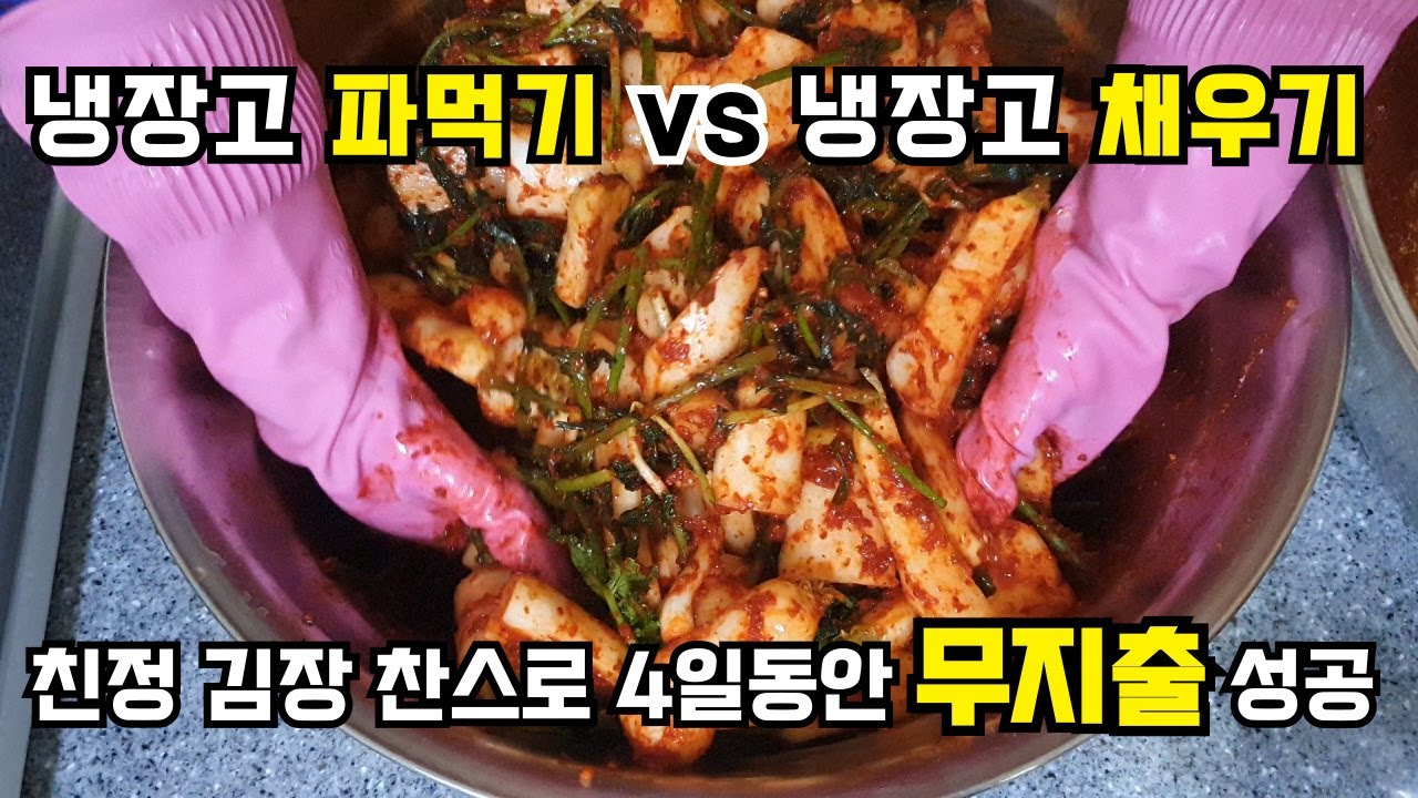 친정 김장 찬스 / 4일동안 무지출 성공 / 식비절약 / 절약 / 냉장고 파먹기 / 냉장고 채우기 / 식비절약 브이로그 / 절약 브이로그