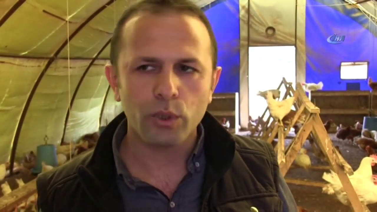 Yumurta almaga pulu bele yox idi sonrasina baxin Ruzunu veren Allahdi