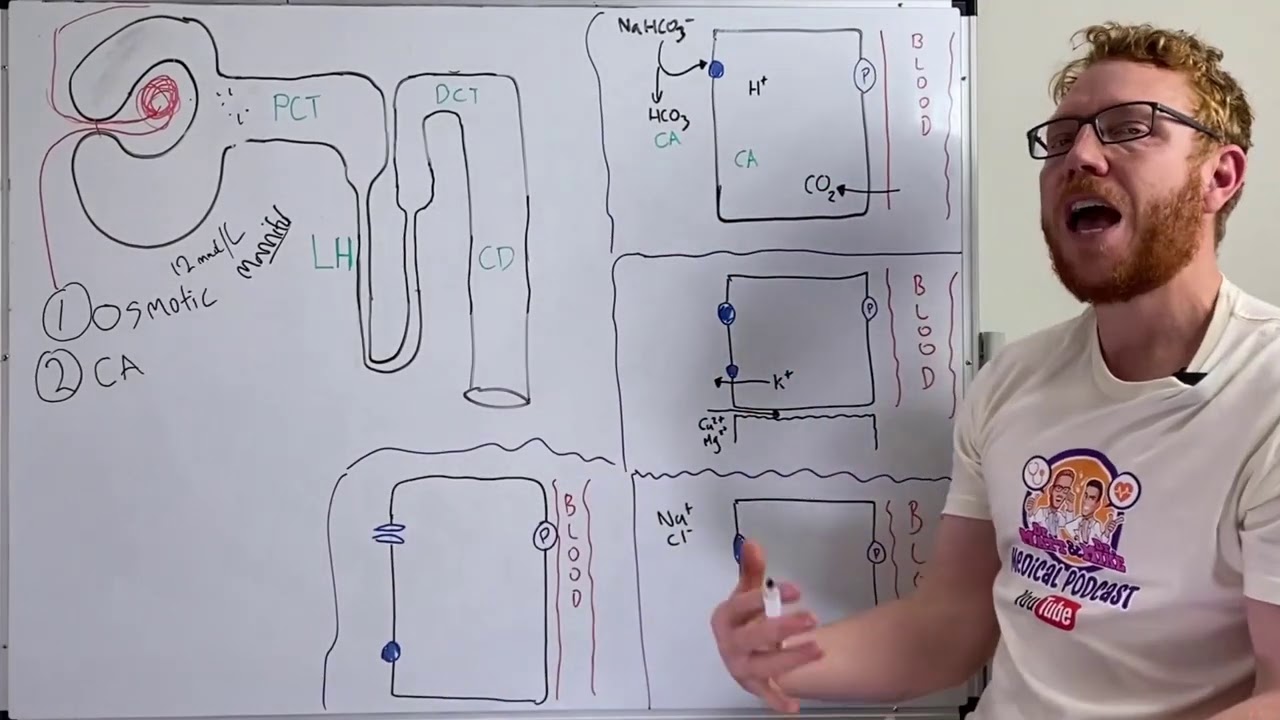 Diuretics | 5 Classes