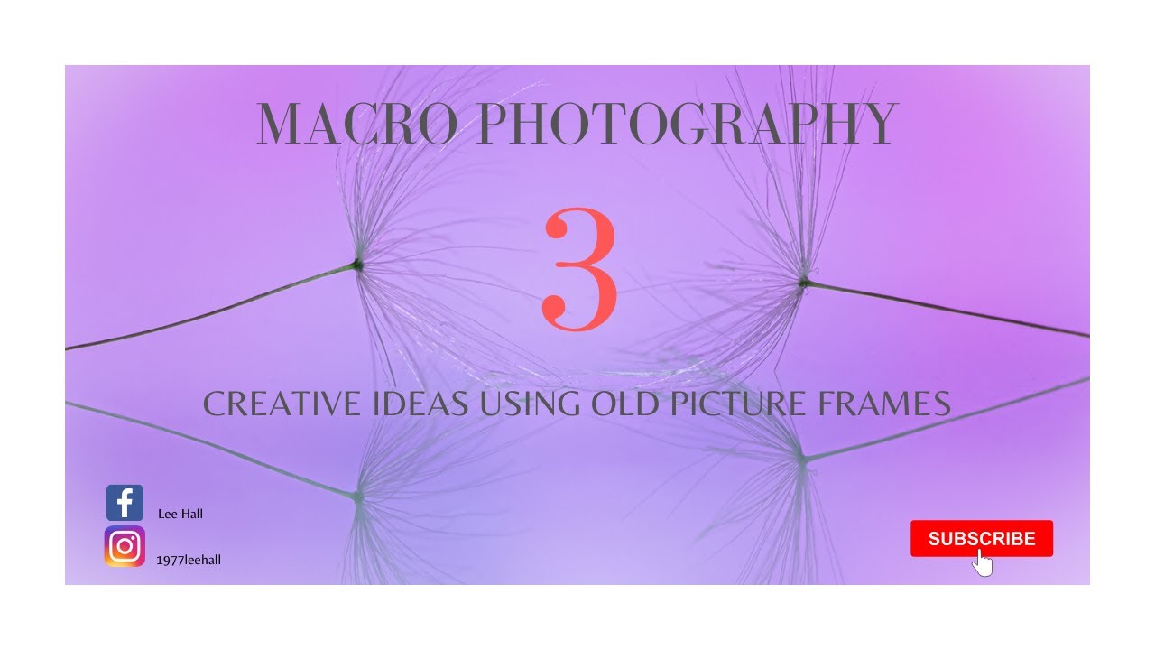 macro photography 3 things to try with old picture frames.