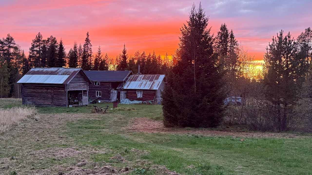 Kein Strom, kein Wasser, kein Haus! Wie wir in Schweden leben!