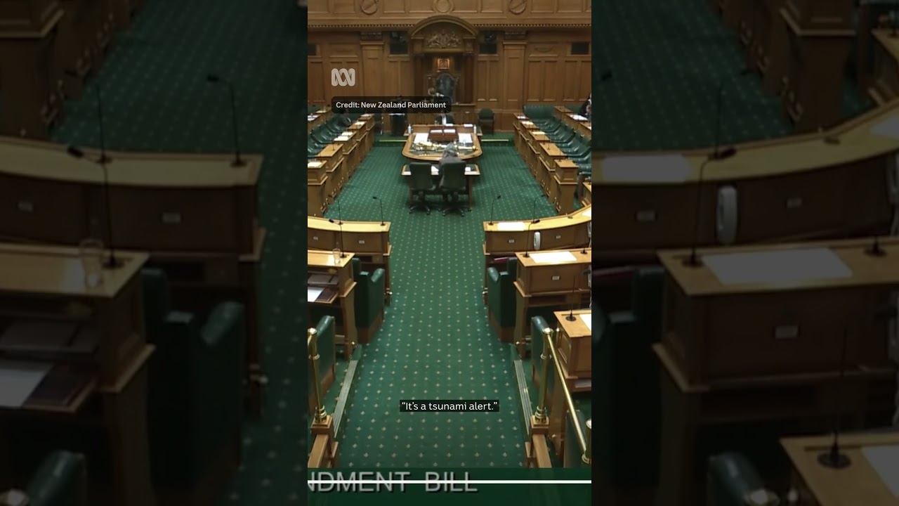 NZ parliament disrupted by tsunami alert | ABC NEWS