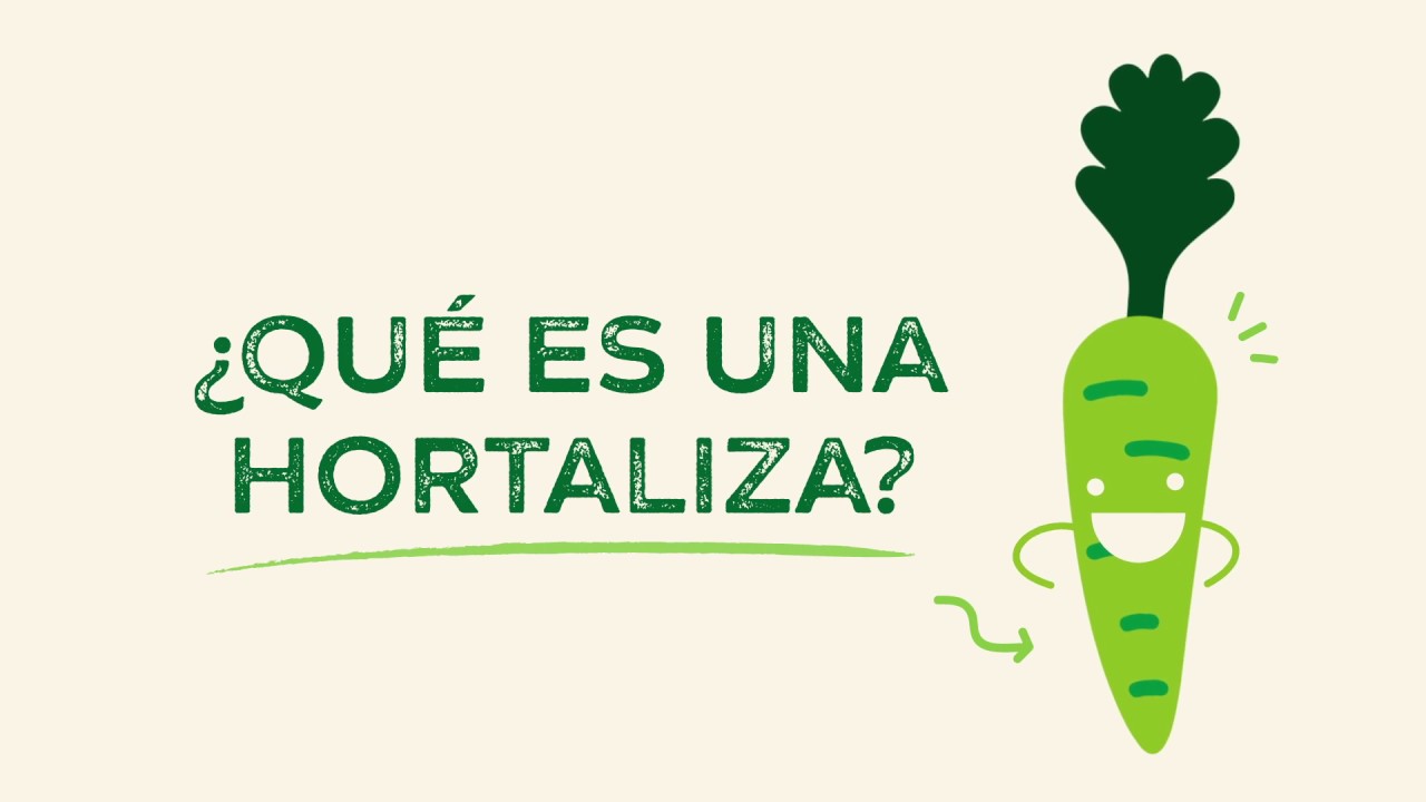 &iquest;Qu&eacute; es una Hortaliza? - #HortalizasMX