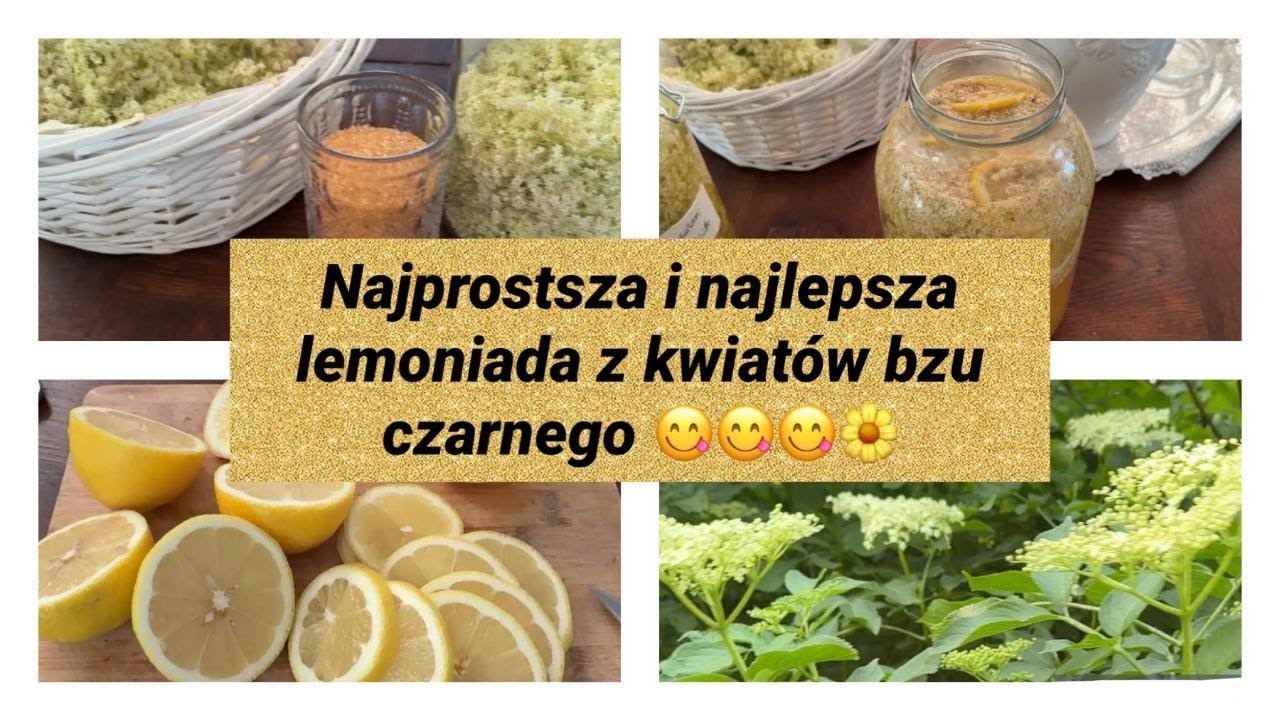 Lemoniada z kwiat&oacute;w czarnego bzu - prosta i najsmaczniejsza 😋🌼