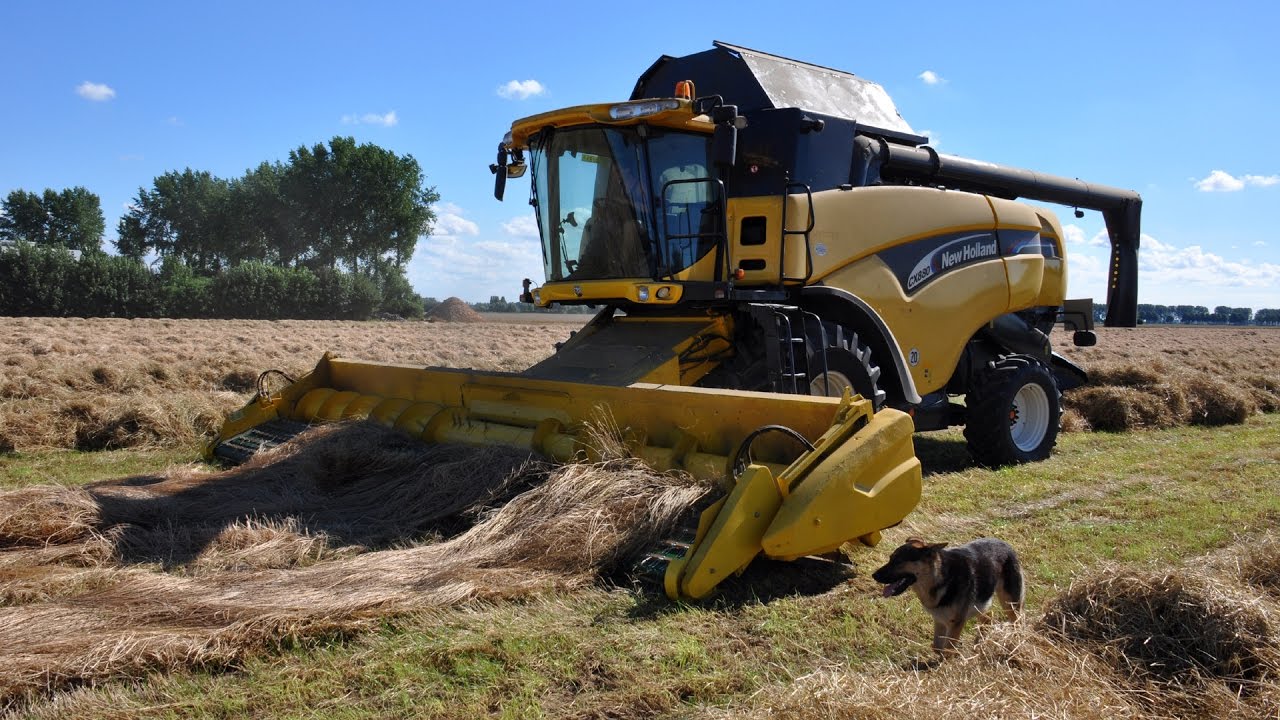 New Holland CX880 - graszaad dorsen