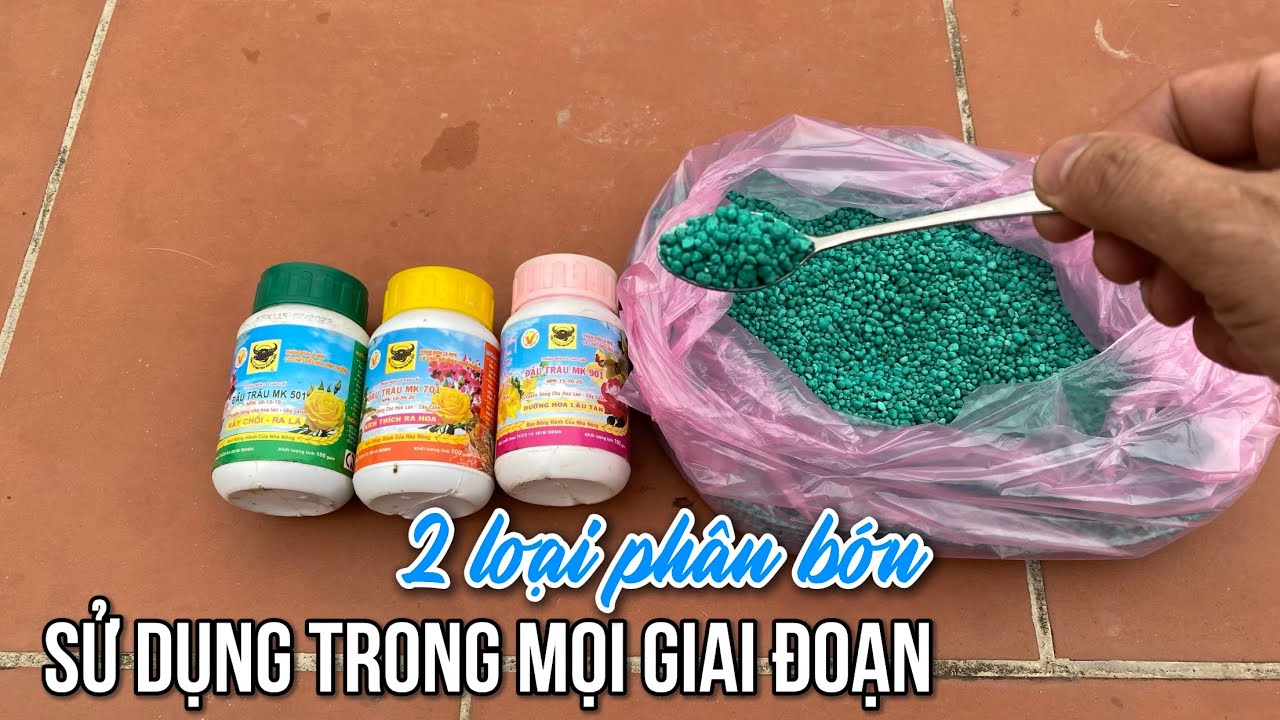 2 Loại phân bón sử dụng trong mọi giai đoạn của hoa cây cảnh