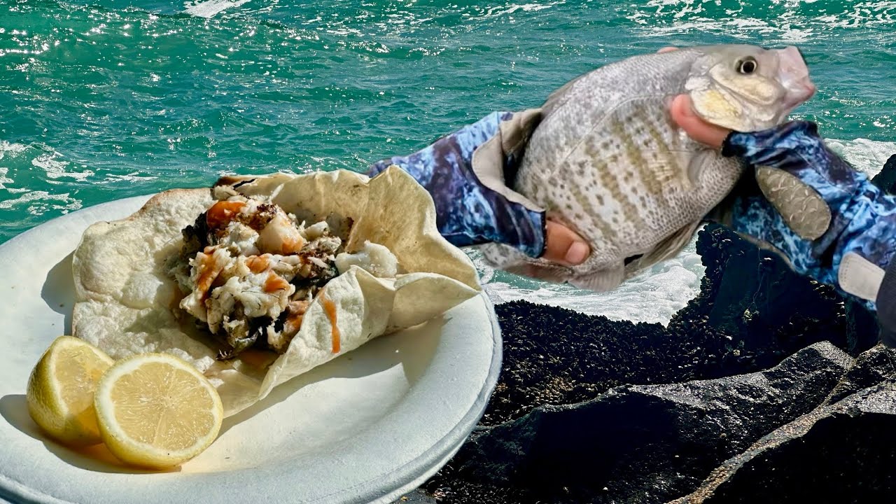 SIMPLE CATCH AND COOK | SURF PERCH | CARLSBAD CALIFORNIA FISHING