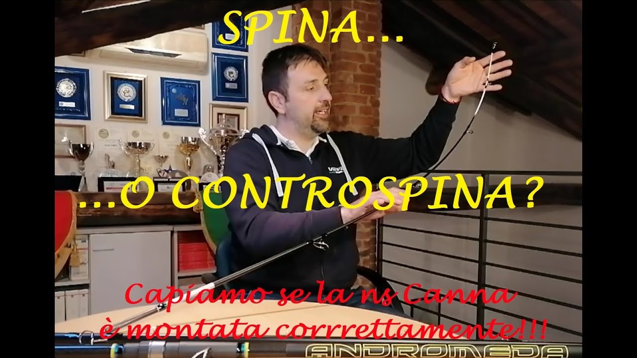 Spina... o Controspina?  Come è montata la ns Canna!