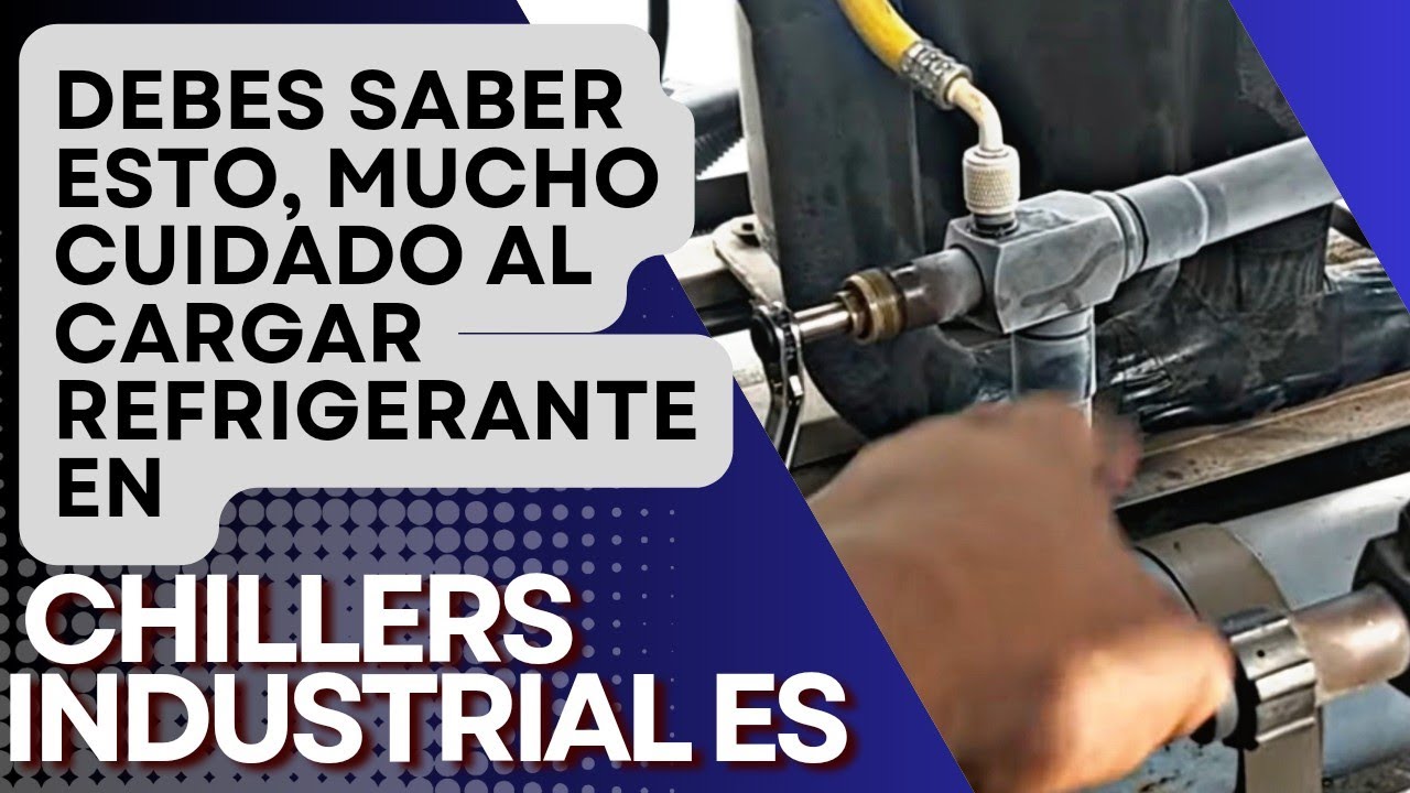 jamás lo volverás hacer  
