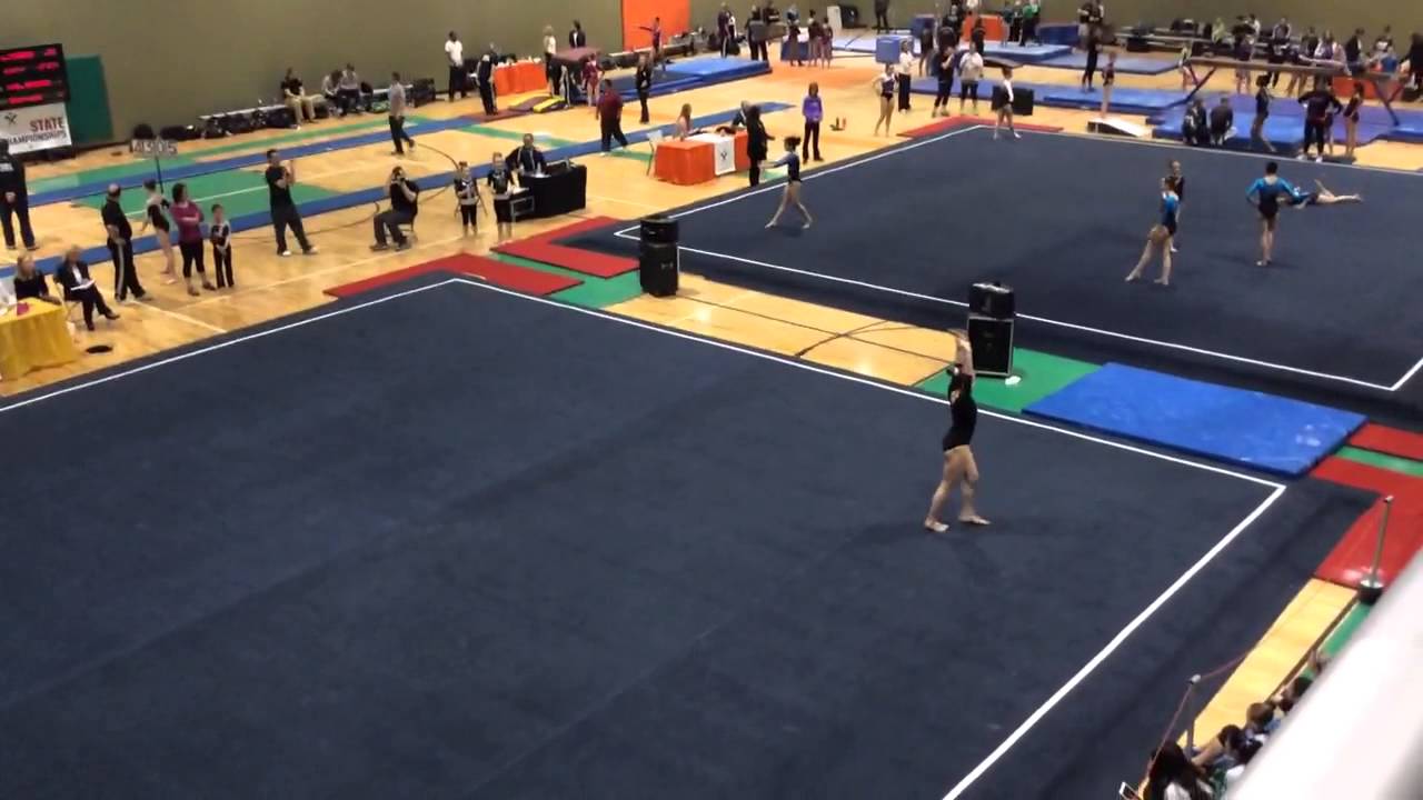 Katie Weyandt L9 Floor 2014 State meet (State Champ)