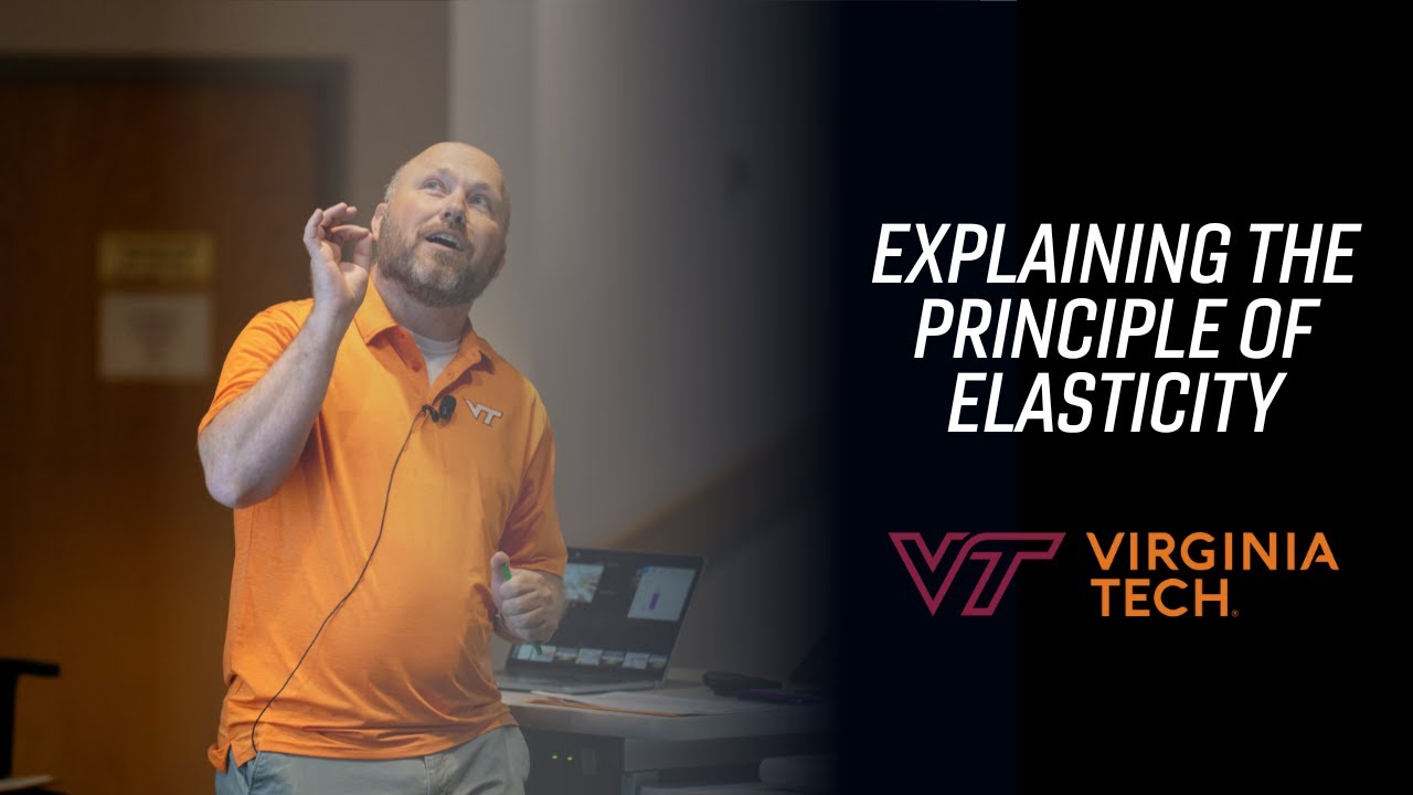 Economy class explains the principle of elasticity