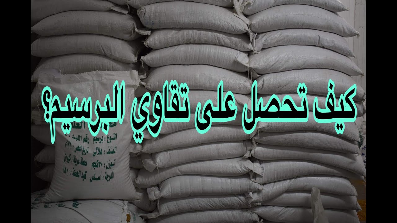 أفضل تقاوي البرسيم من مركز البحوث الزراعية (رقم الهاتف لحجز الصنف المطلوب)