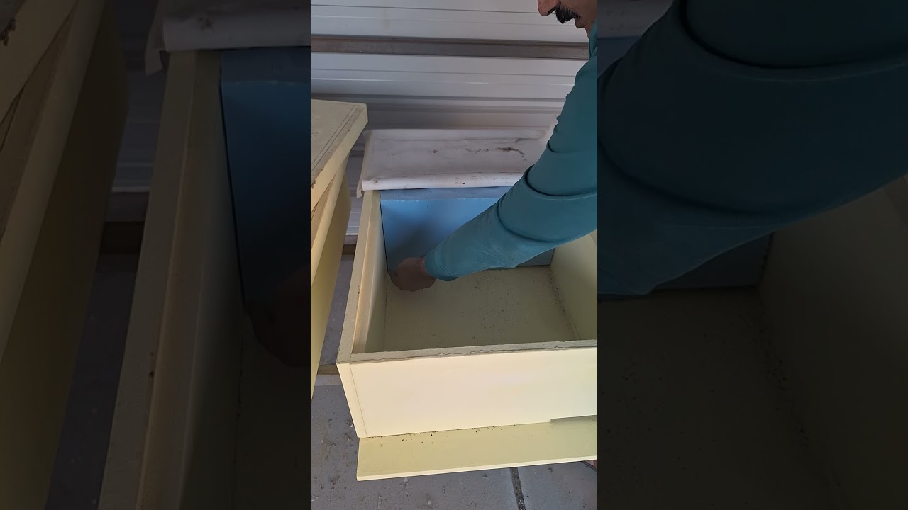 شروط خليه نظام أمير النحل