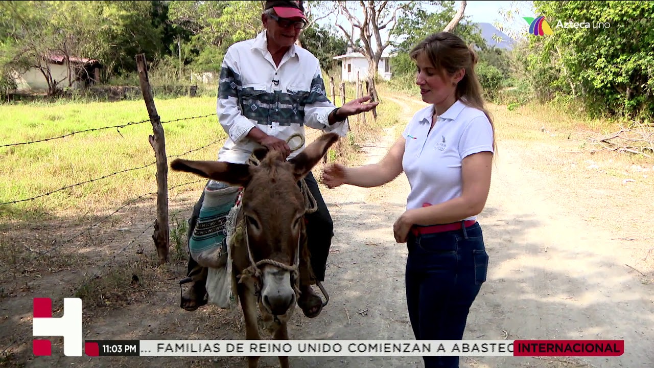 El Otro México: Jala Colima donde quieren rescatar al burro