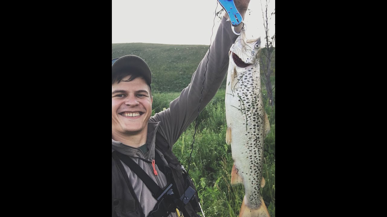 личный рекорд, 12 07 2018 форель 1,6 кг