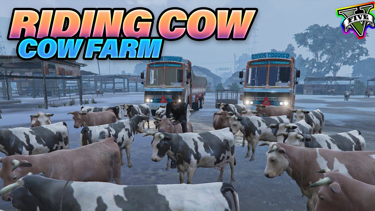Riding a cow from Cattle farm in GTA 5