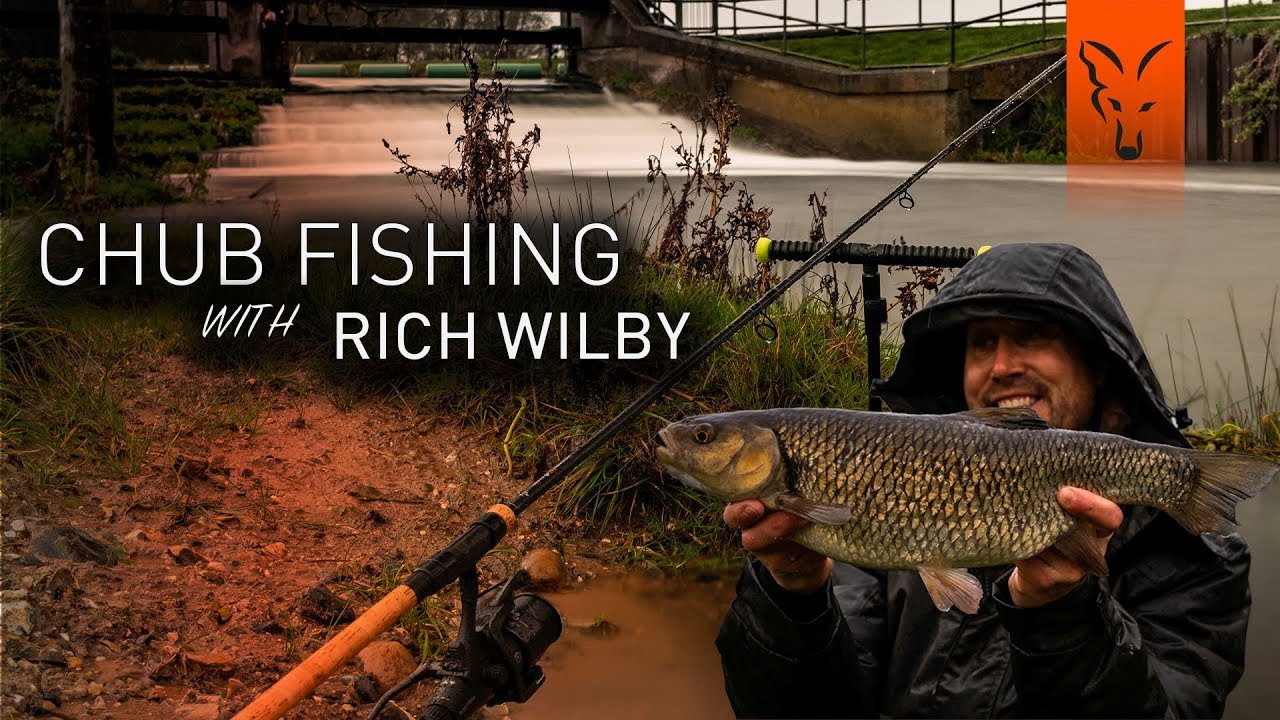 *** Chub Fishing with Rich Wilby ***