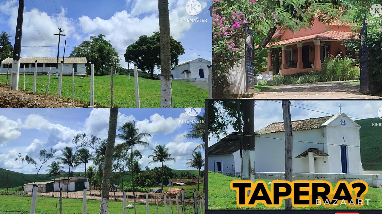 ENGENHO TAPERA DA USINA IPOJUCA EM PERNAMBUCO.