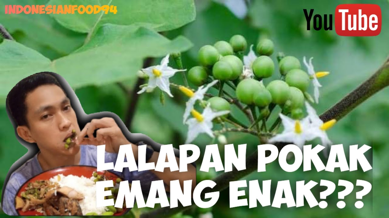MAKAN NASI IKAN TONGKOL + LALAPAN POKAK & PETAI! PEDASNYA BIKIN NAGIH! 🔥