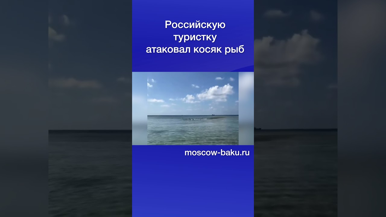 Российскую туристку атаковал косяк рыб
