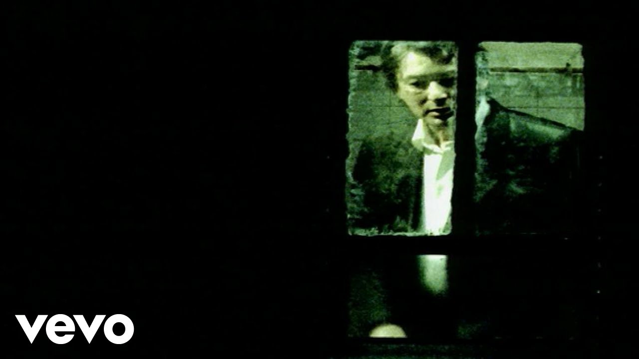 Alain Bashung - La nuit je mens